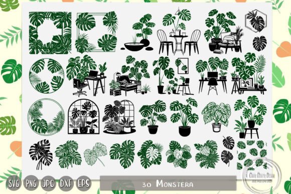 Monstera, Palm Leaves, Tropical Leaves